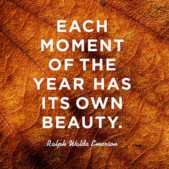 IT'S THE MOST WONDERFUL TIME OF THE YEAR - Picture 2 of 3